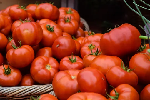 Суперфуды с грядки: какие летние овощи наиболее полезны для организма