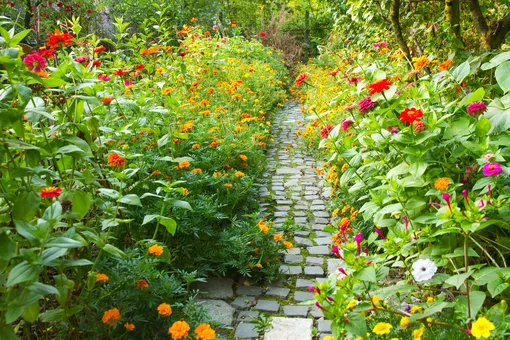 Как создать красивый малоуходный сад: ландшафтный дизайн для ленивых дачников