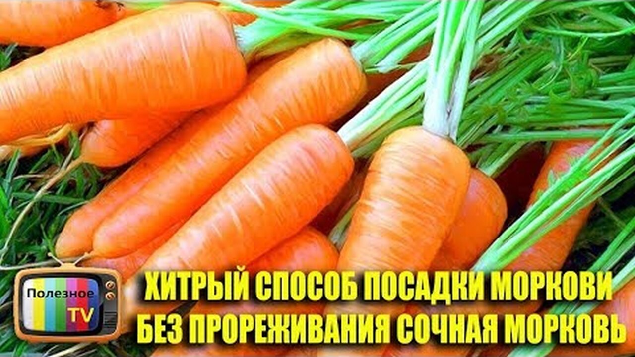Klikněte a uvidíte