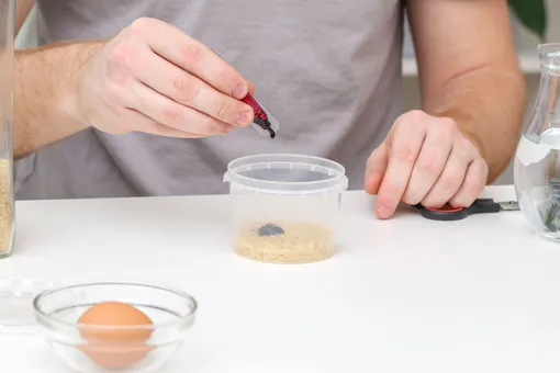 как покрасить яйца с помощью риса