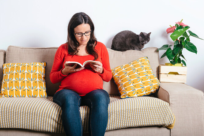 Не смотри на красное, срочно выбрось кошку: советы, которыми мучают беременных