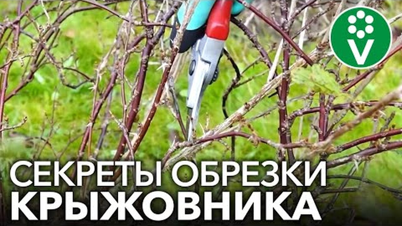 Klikněte a uvidíte