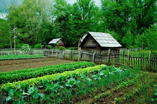 5 лучших органических удобрений для огорода и сада: название, фото, описание