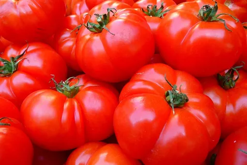 Что приготовить с помидорами. 15 проверенных рецептов для тех, кто любит томаты