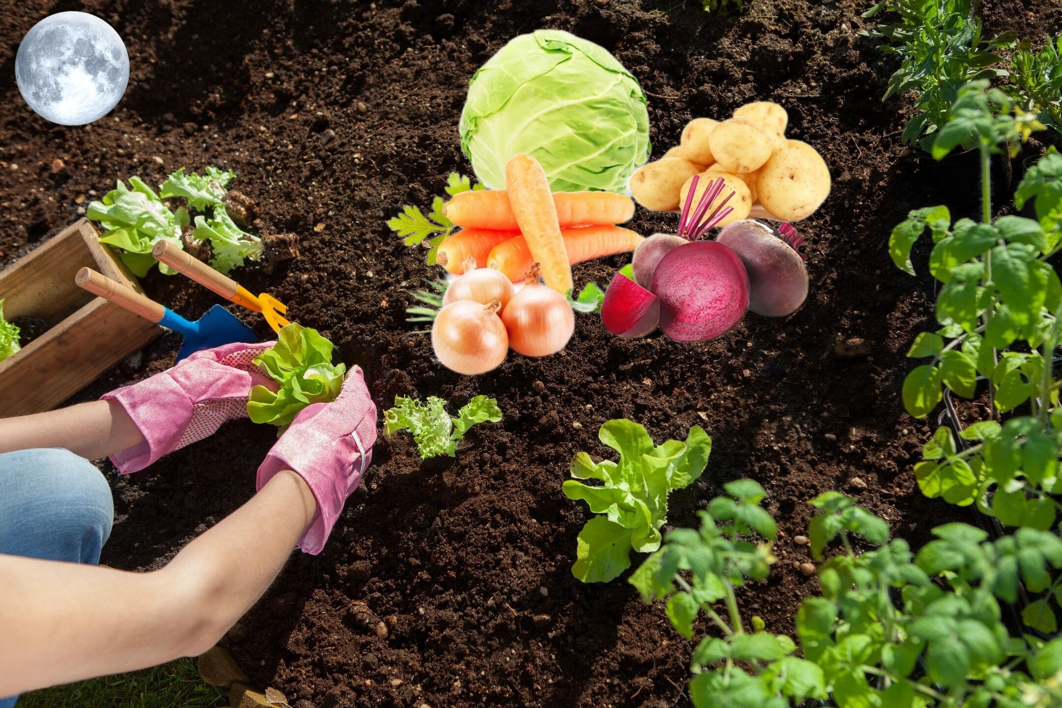 День святого Пантелеймона