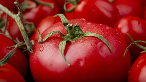 Рецепт подкормки томатов из овсяных хлопьев