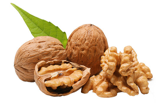Грецкие орехи — продукт, который помогает при месячных