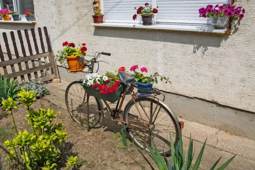 Старый велосипед может стать отличным украшением сада