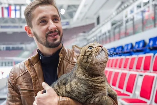 Хозяин ставшего знаменитым «толстого кота» направил волну популярности на милосердие
