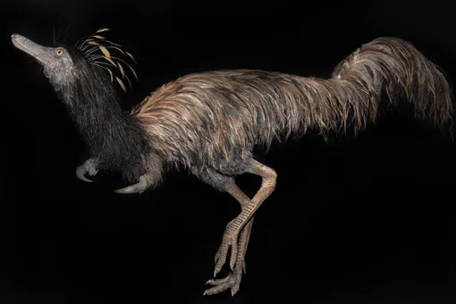 Недобрый и пушистый: ученые открыли неизвестный ранее вид динозавров
