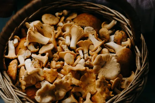 Как правильно готовить грибы: рассказывает шеф-повар