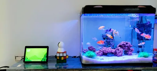 где поставить аквариум в квартире