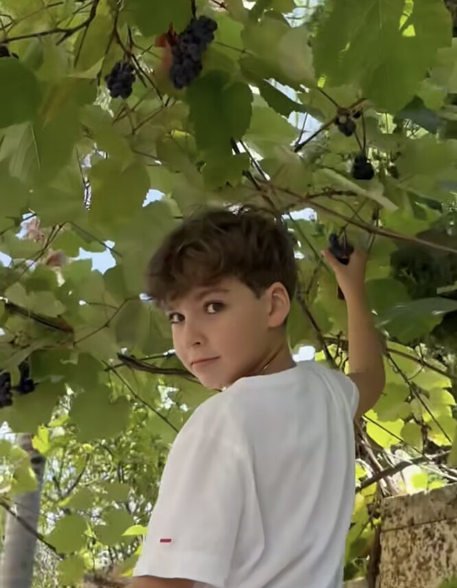 Алла Пугачёва вернулась домой