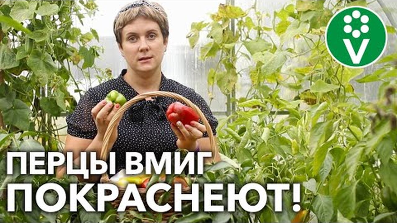 Klikněte a uvidíte