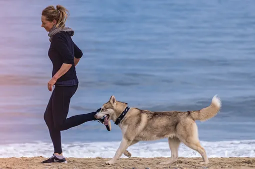 Собака и девушка бегут по пляжу