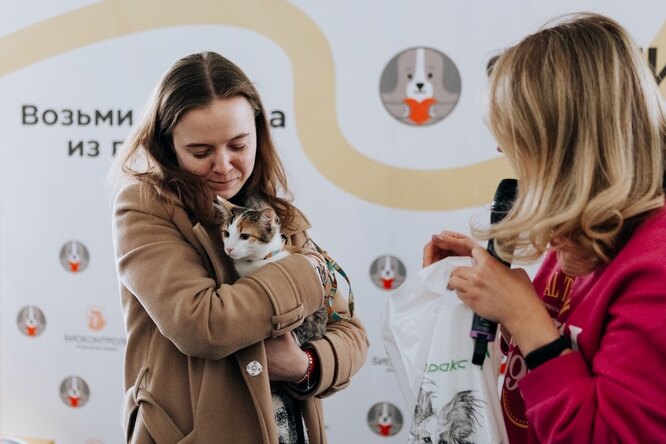 Стать счастливее на одного котика предложат москвичам в новогодние праздники