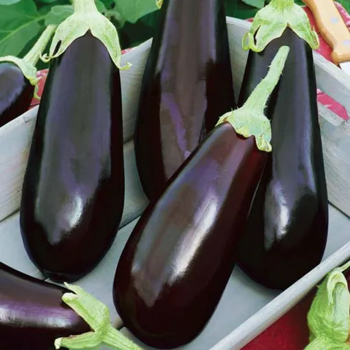 Сбор урожая и хранение