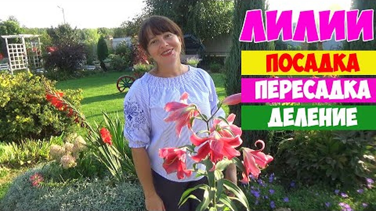 Нажми и смотри