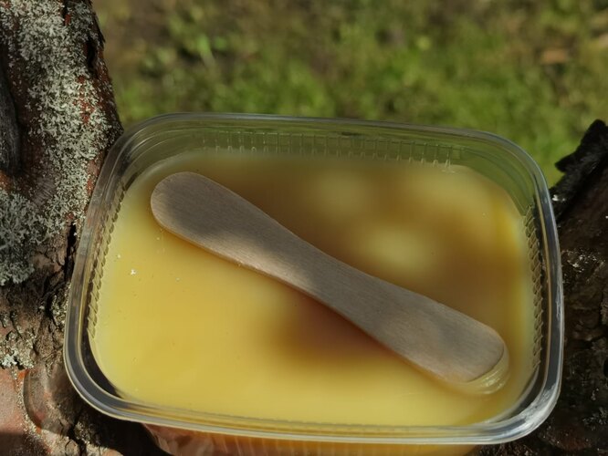 Metody ošetření stromů poškozených hlodavci