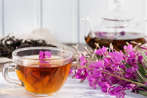 Копорский чай: как собирать и заготавливать Иван-чай, самый простой рецепт