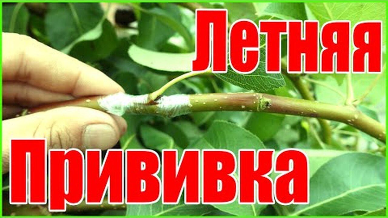 Klikněte a uvidíte