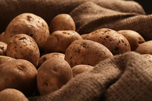 Как правильно хранить картофель в доме или квартире, чтобы не пророс и не сгнил