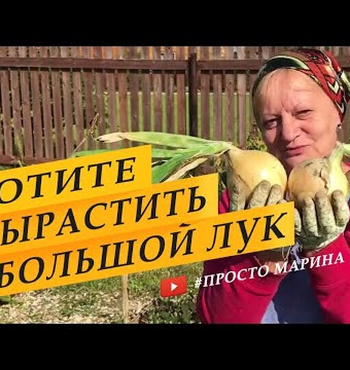 Klikněte a uvidíte