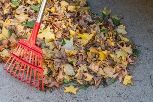 Собирайте опавшую листву и отправляйте на компост