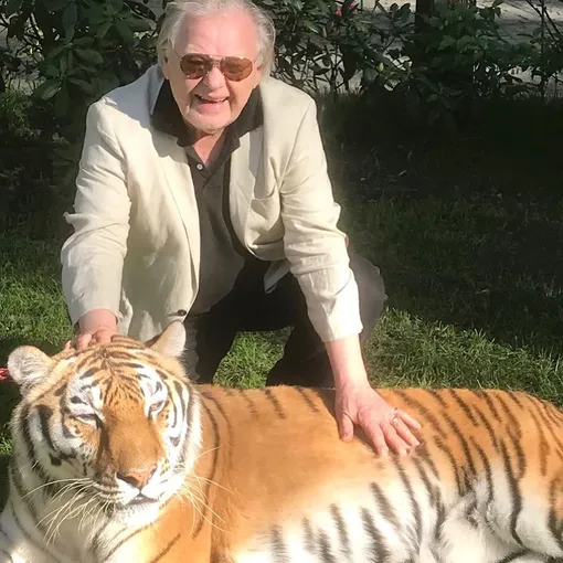 Юрий Антонов с тигрицей