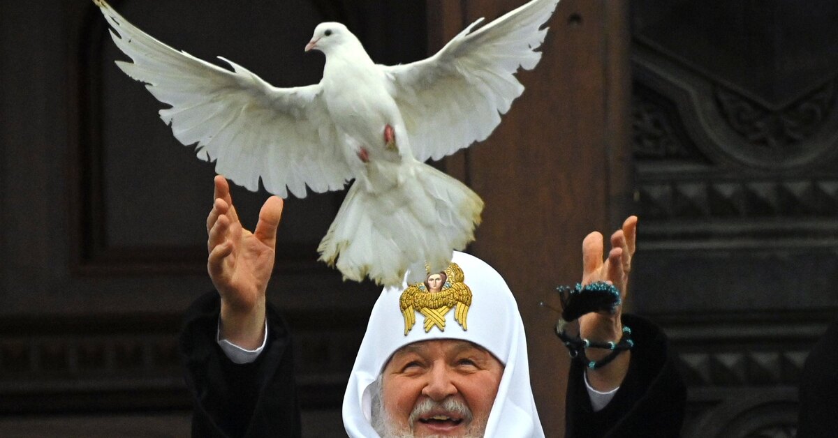 Голубь на площади в Ереване