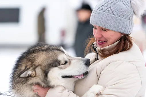 Разделась и нырнула: российская пенсионерка бросилась в прорубь и спасла собаку