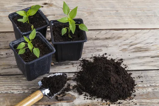 Варианты подготовки почвы для ранней капусты