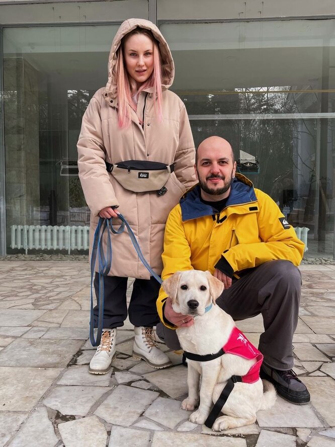 Как воспитывают собаку-поводыря, можно ли взять щенка напрокат ...