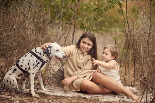 Породы собак, которые не подходят для семьи с ребёнком: название, описание, характер