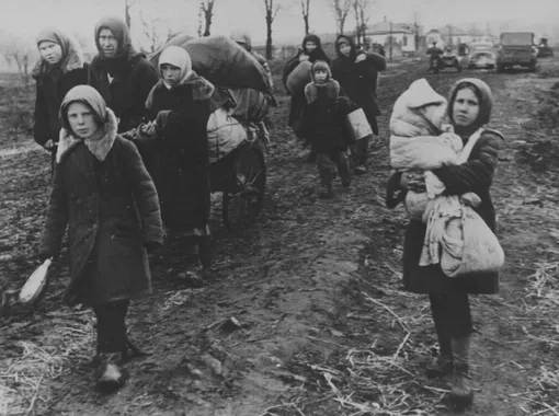 Воспоминания о войне девушки-связистки: как воевали женщины в Великую Отечественную