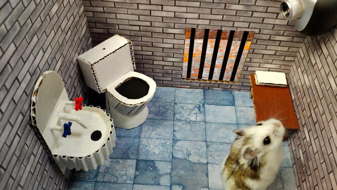 Видео побега хомяка из тюрьмы стало вирусным - захватывающая история хитрого грызуна Видео побега хомяка из тюрьмы стало вирусным: захватывающая история хитрого грызуна