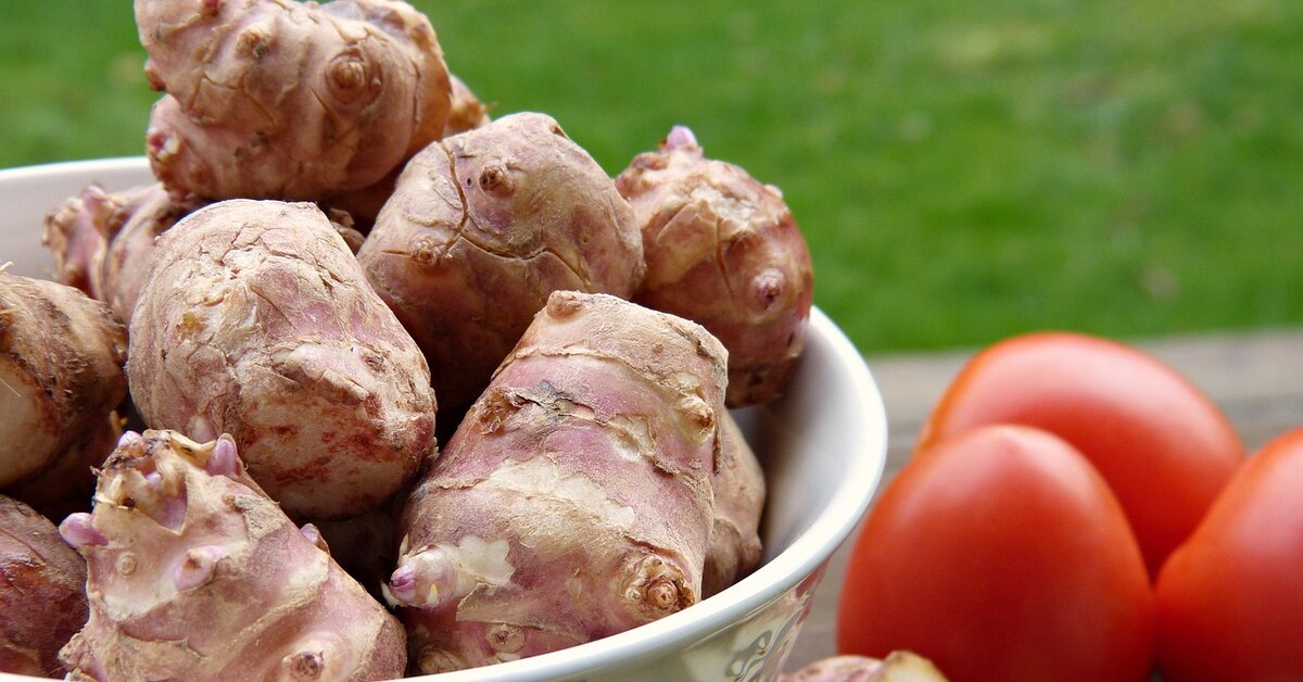 Корнеклубень топинамбур. Топинамбур в аптеке продается порошок. Как заваривать топинамбур. Как заваривать топинамбур. Как заваривать топинамбур.