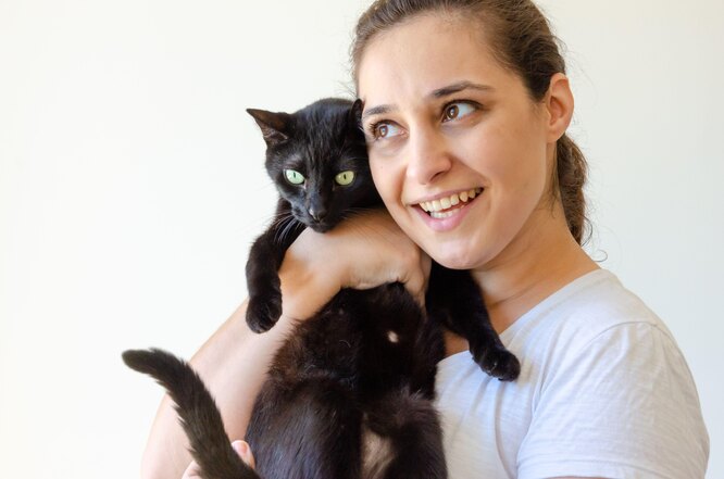Кошки не понимают, что означает поцелуй Кошки не понимают, что означает поцелуй