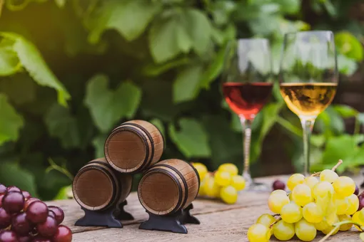 Вино из винограда: 5 проверенных рецептов вкуснейшего напитка