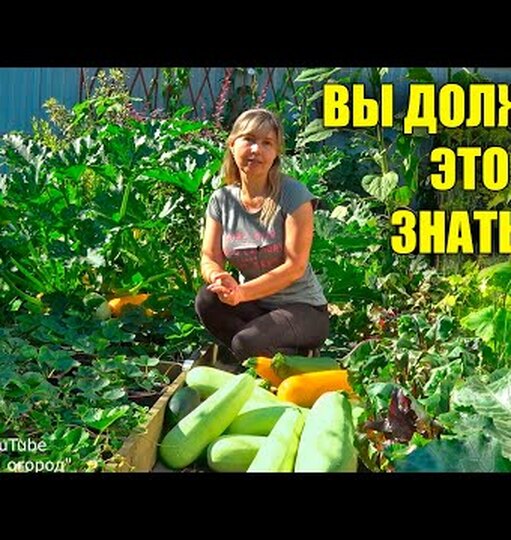 Как сохранить кабачки целыми до&nbsp;весны