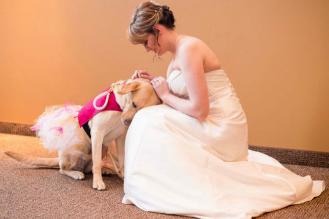 Свадьба, которая не состоялась бы без собаки
