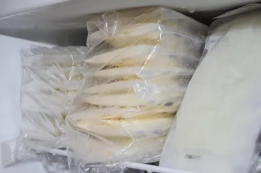 Пакеты с грудным молоком в морозилке
