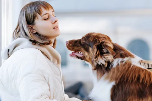 «Своими лапками»: в Москве пройдёт мастер-класс для любителей домашних животных от фонда «Собаки, которые любят»
