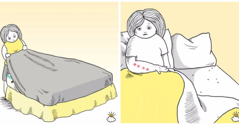 Что делать, если обнаружили в квартире клопов: как уничтожить клопов в доме