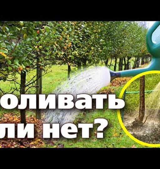 Klikněte a uvidíte