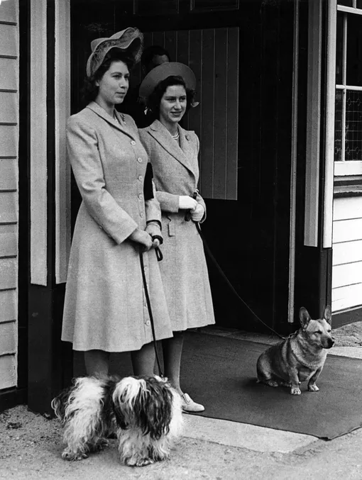 Принцессы Елизавета и Маргарет с собаками