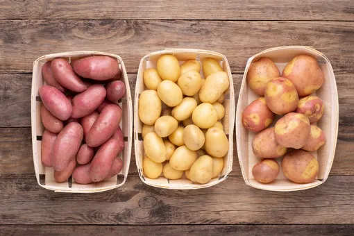Классификация сортов картофеля по плотности и мякоти