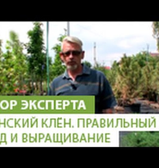 Нажми и смотри