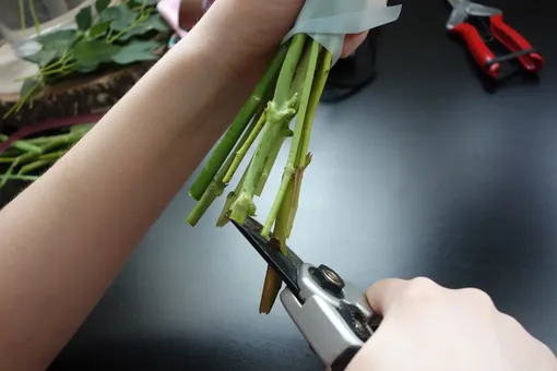 Подрезать стебель цветка под максимально острым углом
