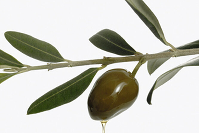 5 заправок с оливковым маслом